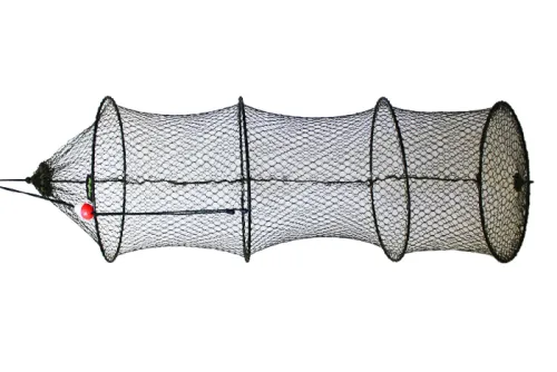 1-Juvelnic-Delphin-BASE
