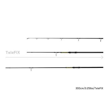 10+1 - Delphin STALX-1