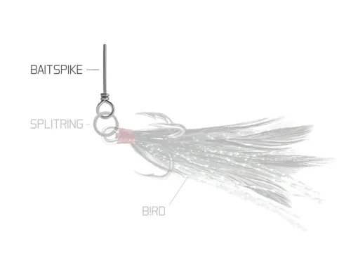 Delphin BAIT SPIKE-1