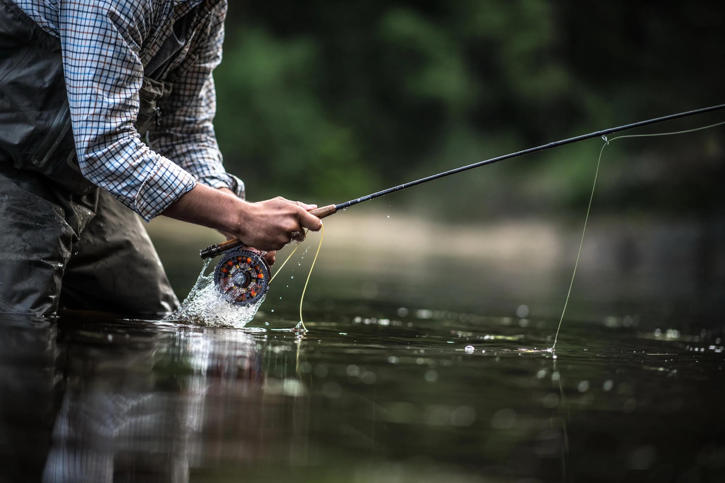Monofilament Delphin KYOTO albastru