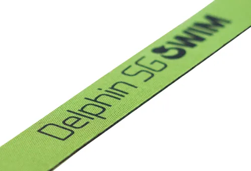 22-Delphin-SWIM