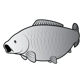 Sticker crap SILVER-1