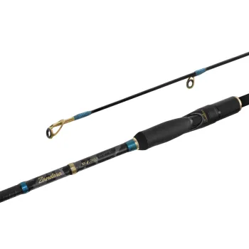 Delphin Zandera NX LOWER-1